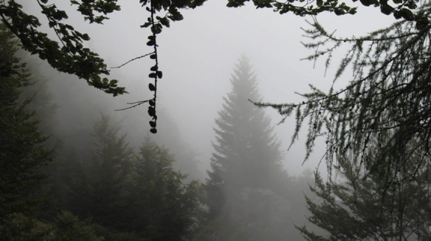 Gebirgslandschaft im Nebel