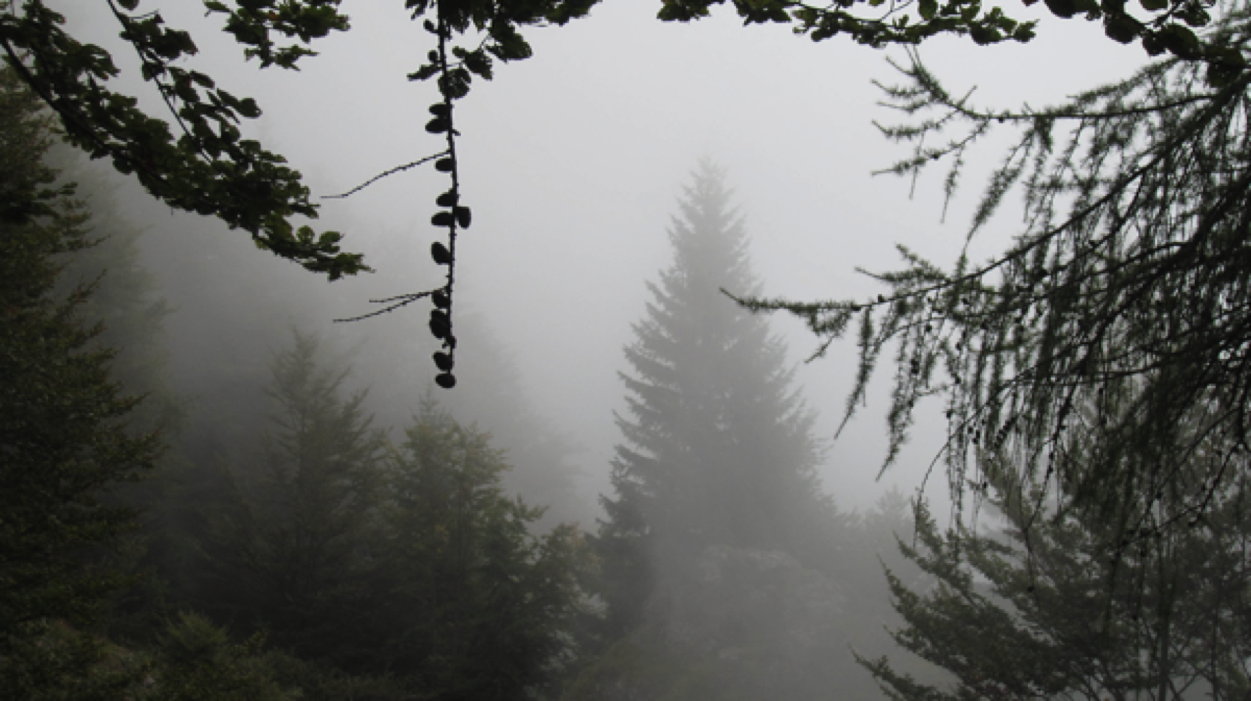 Gebirgslandschaft im Nebel
